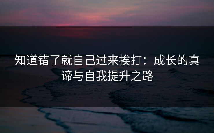 知道错了就自己过来挨打：成长的真谛与自我提升之路