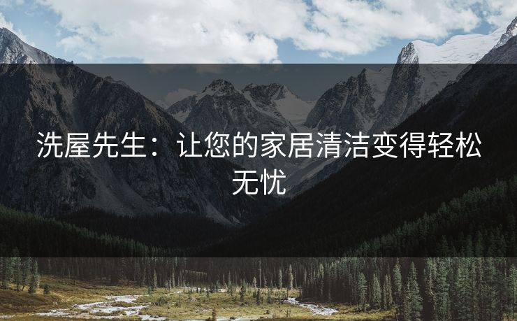 洗屋先生：让您的家居清洁变得轻松无忧